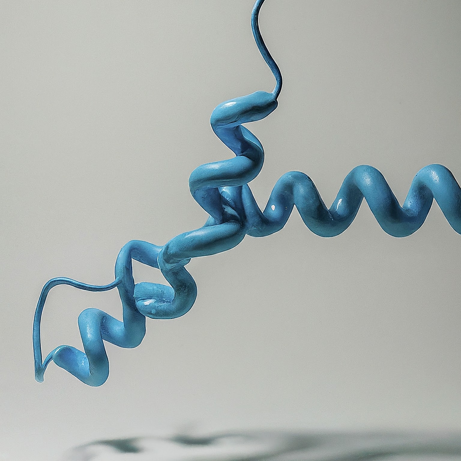 Protein structure 1