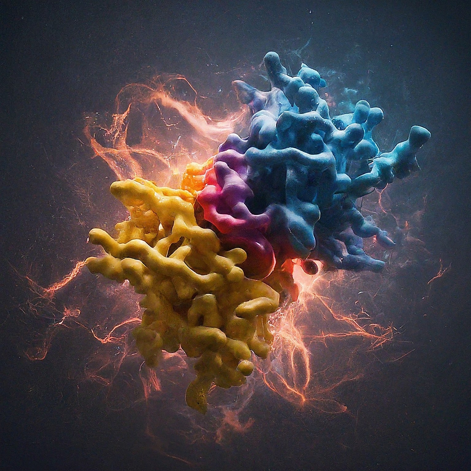 Protein structure 4